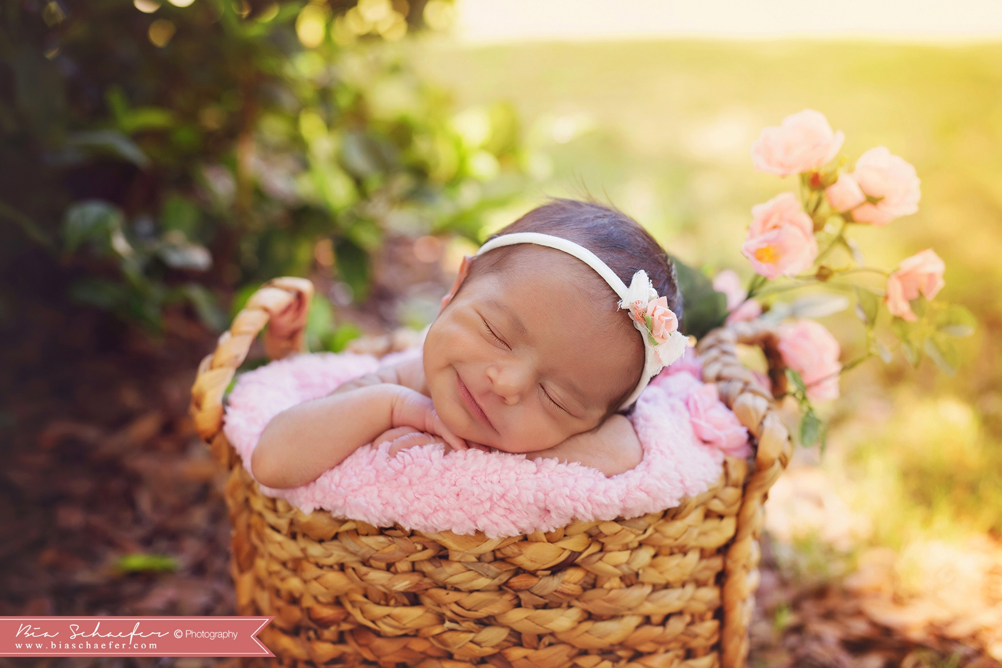 Orlando newborn photography; Orlando newborn photographer; Orlando best newborn photographer