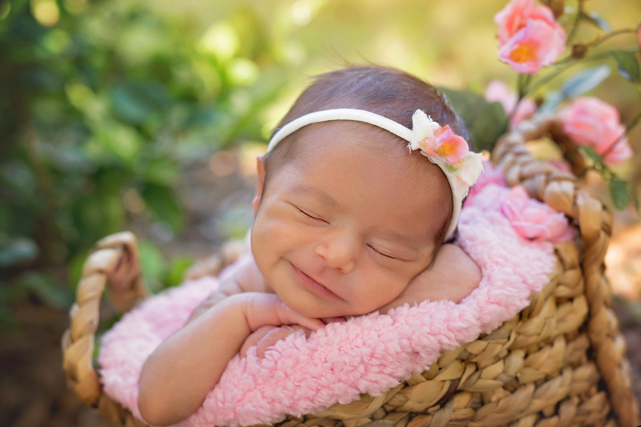 Orlando newborn photography; Orlando newborn photographer; Orlando best newborn photographer