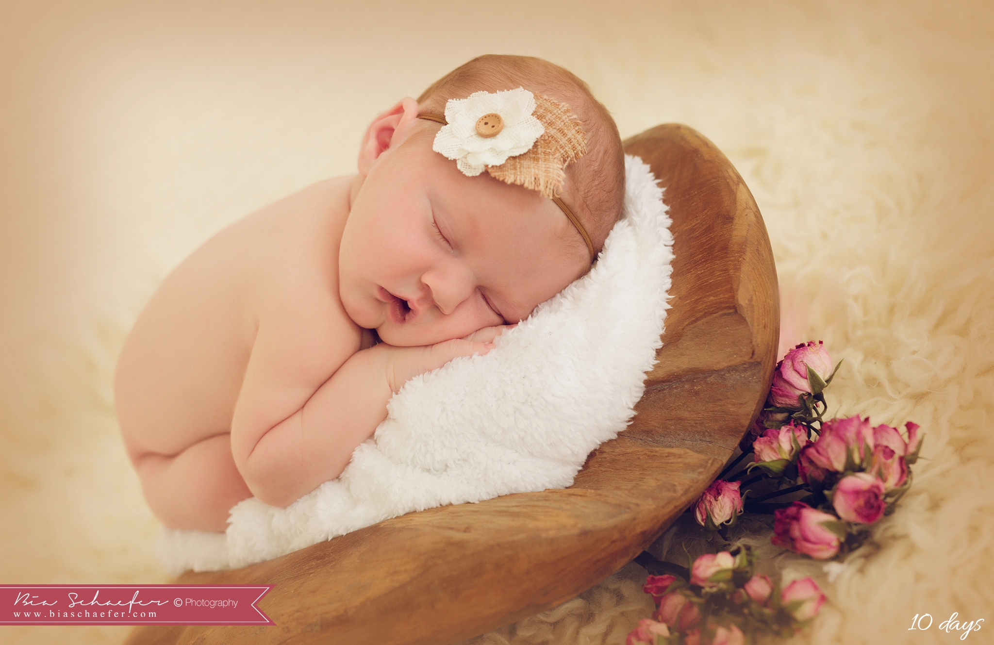 Orlando newborn photography; Orlando newborn photographer; Orlando best newborn photographer