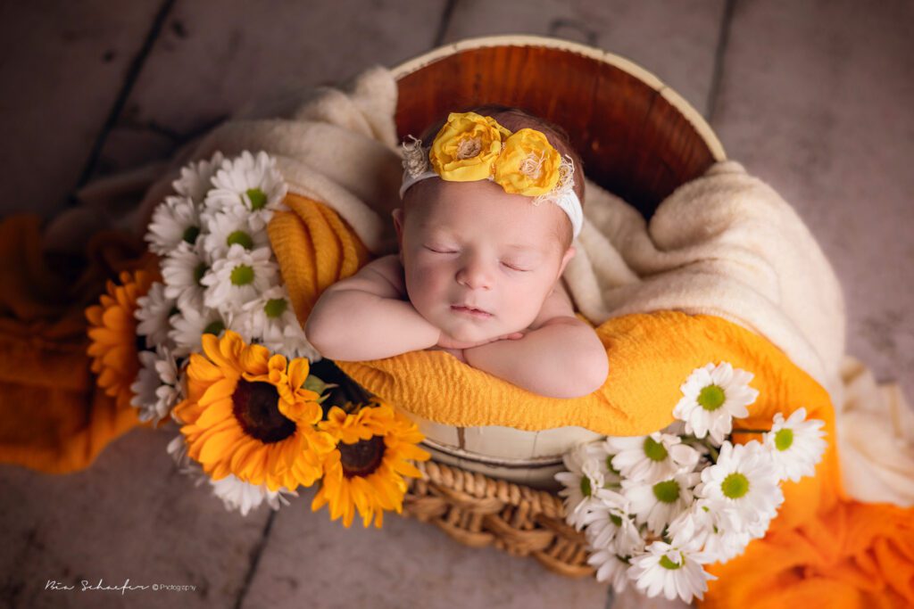 Sunflowers newborn session in Orlando, Florida. 